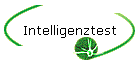 Intelligenztest